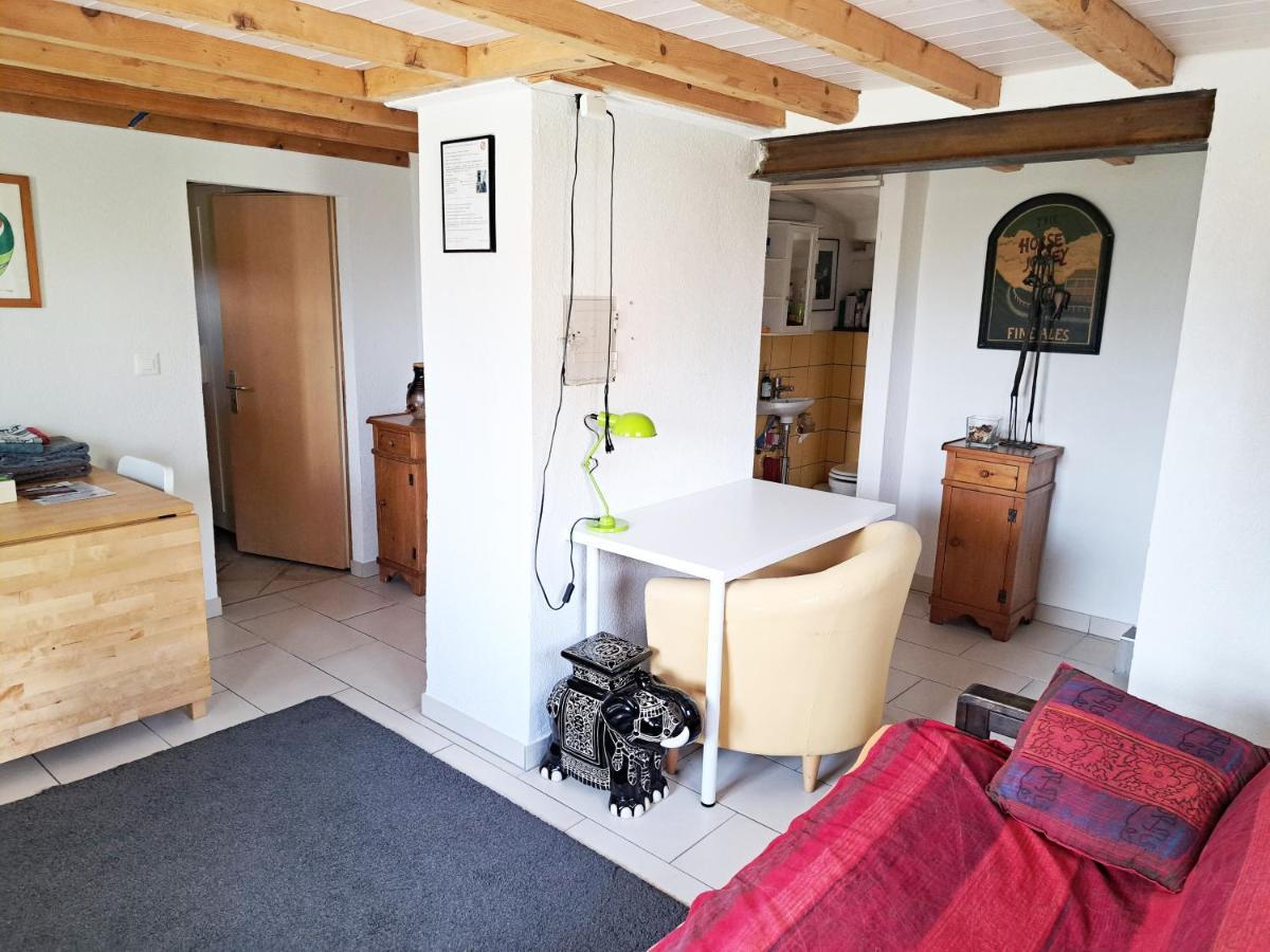 Les échalas I - Appartement avec cuisine et place privée au cœur du Lavaux, Unesco Chexbres Exterior foto